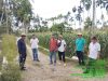 Anggota DPRD Sumbar, Khairuddin Simanjuntak Tinjau Pembangunan Jalan Usaha Tani di Pasaman